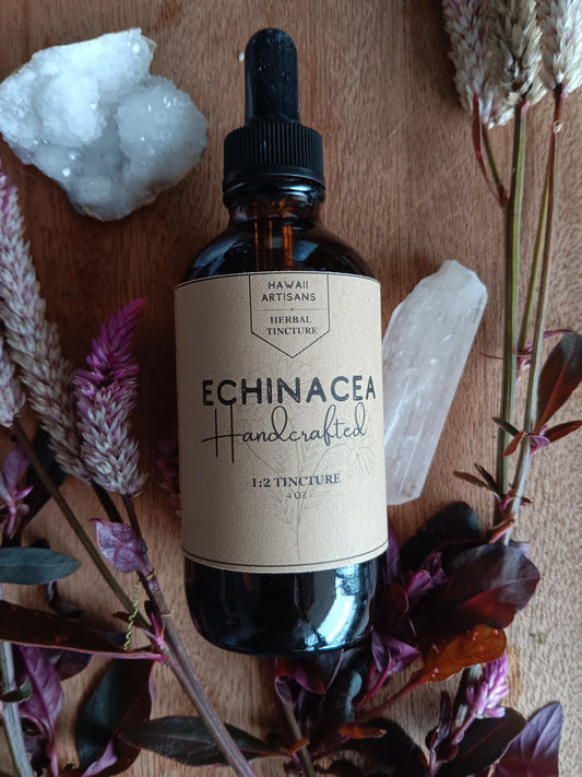 Tincture: Echinachea (4oz)